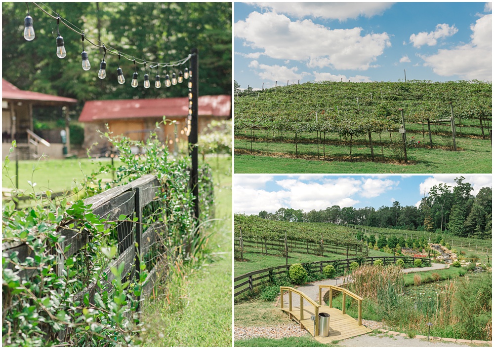 flowery branch wedding photographer photographs a bridal shower at a north Georgia winery 