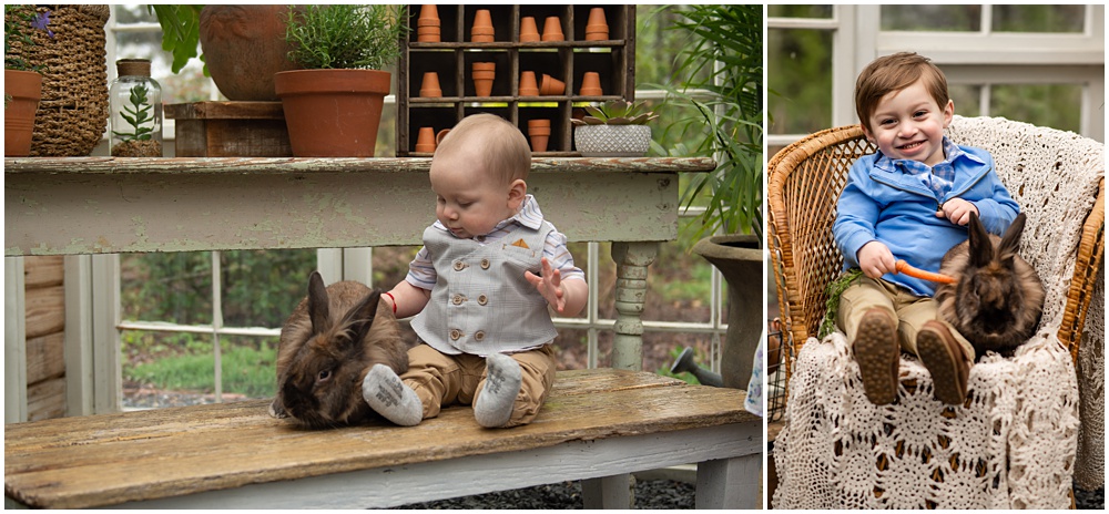 family pose for easter mini session in the greenhouse with Archie the bunny at prospect farms in Lawrenceville, Ga