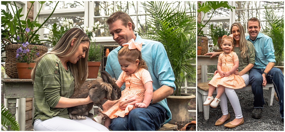 family pose for easter mini session in the greenhouse with Archie the bunny at prospect farms in Lawrenceville, Ga