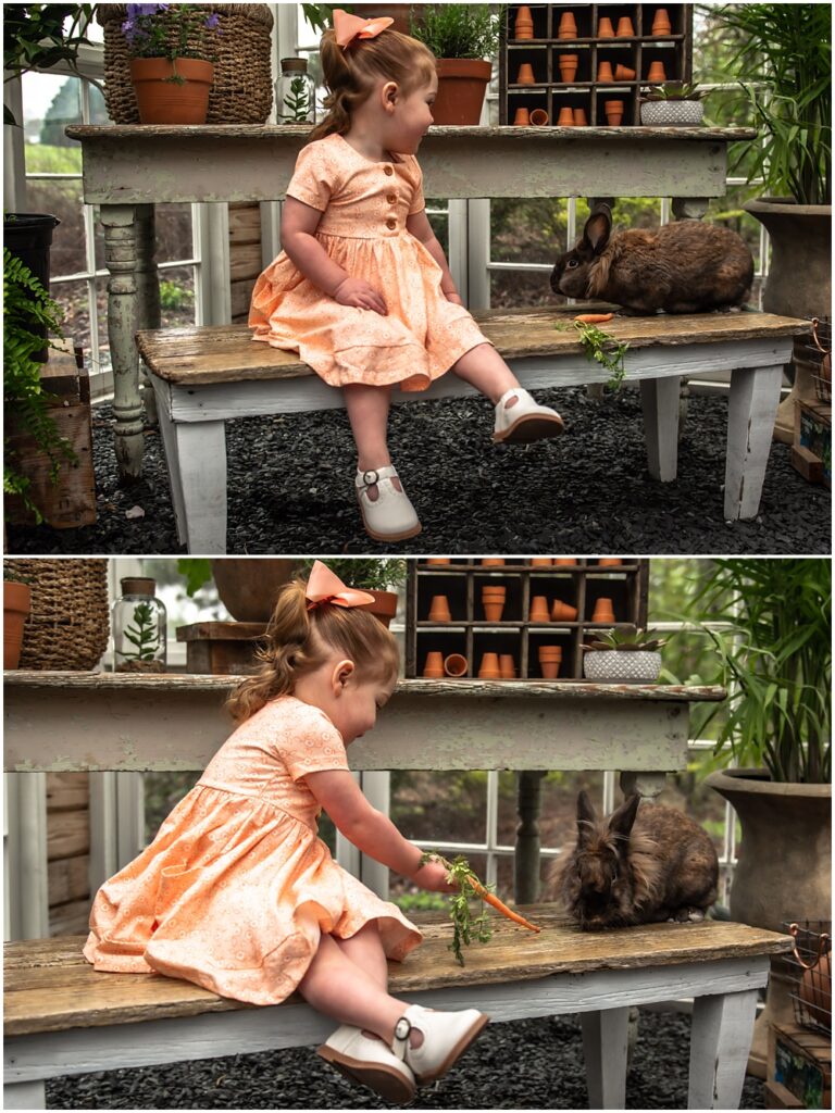 little girl poses for easter mini session in the greenhouse with Archie the bunny at prospect farms in Lawrenceville, Ga