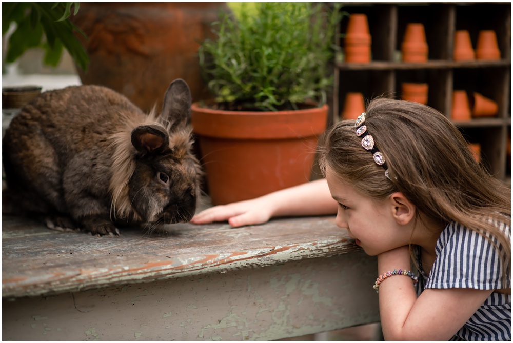 easter mini session in the greenhouse with Archie the bunny at prospect farms in Lawrenceville, Ga