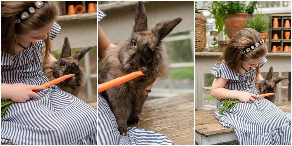 easter mini session in the greenhouse with Archie the bunny at prospect farms in Lawrenceville, Ga