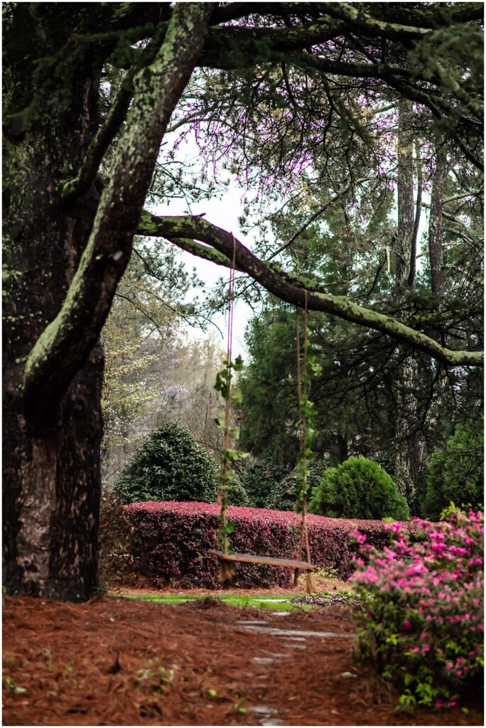 the carl house wedding venue in auburn georgia has an outdoor tree swing for photography. 