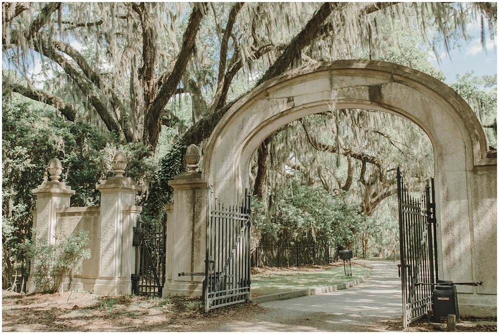 Atlanta wedding photographer photographs engagement session at wormsloe plantation in Savannah, Georgia 