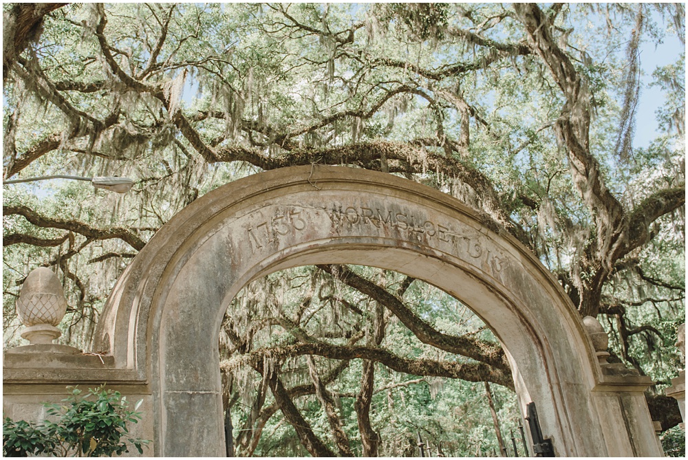 Atlanta wedding photographer photographs engagement session at wormsloe plantation in Savannah, Georgia 