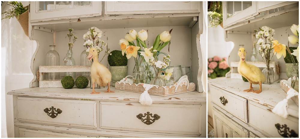 Flowery Branch photographer photographs a Spring, Easter mini with live baby ducks at Mayberry Acres, in Canton Georgia. Session was held outside in the greenhouse.