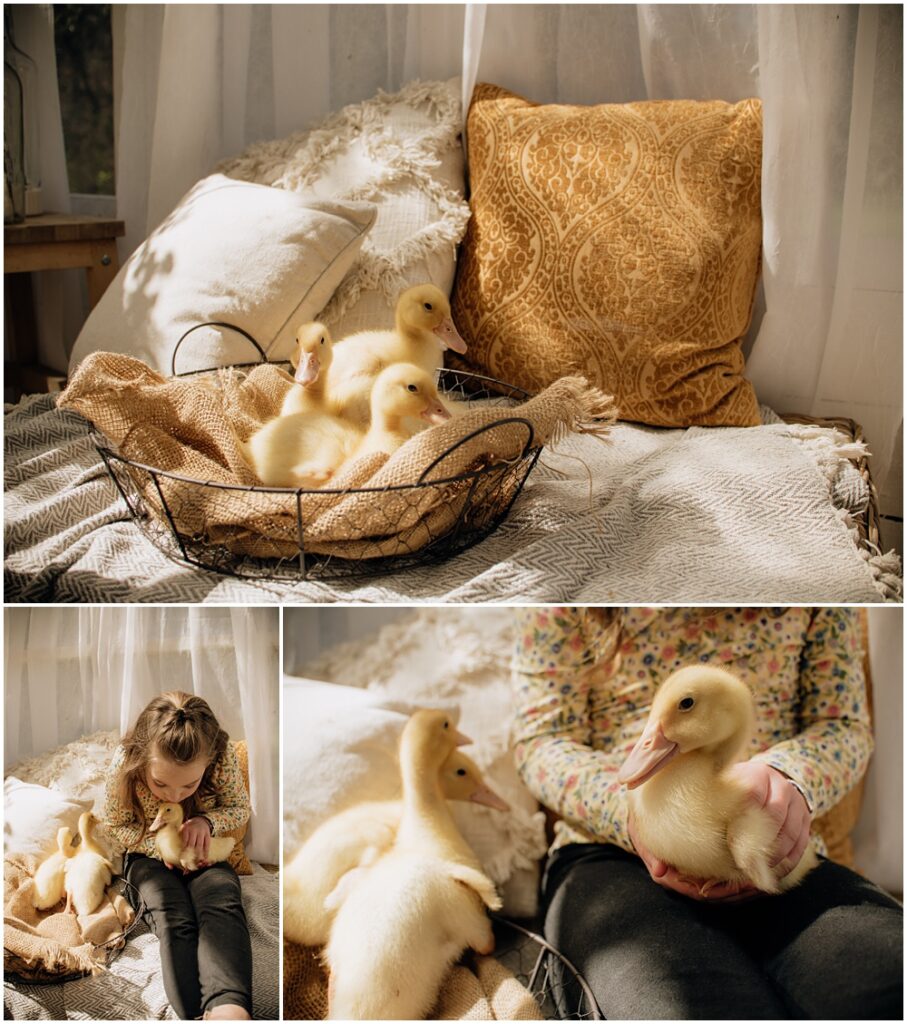 Flowery Branch photographer photographs a Spring, Easter mini with live baby ducks at Mayberry Acres, in Canton Georgia. Session was held outside in the greenhouse.