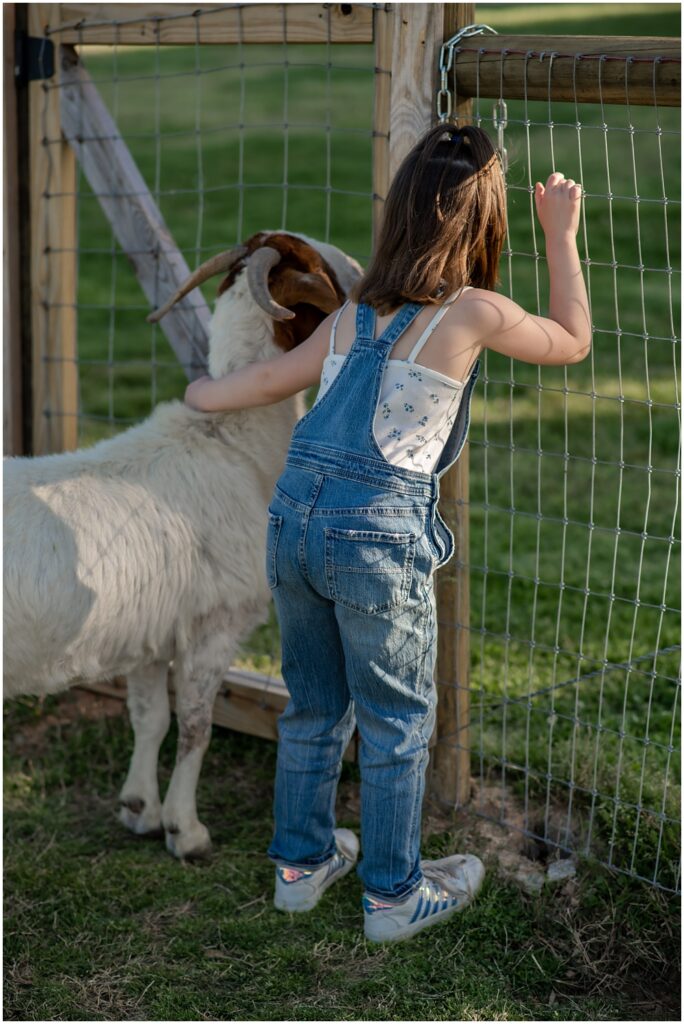 Flowery Branch photographer hosts mini session of little girl playing with baby goats. She's holding the goat and looking through the fence at Prospect Farms, Lawrenceville Ga