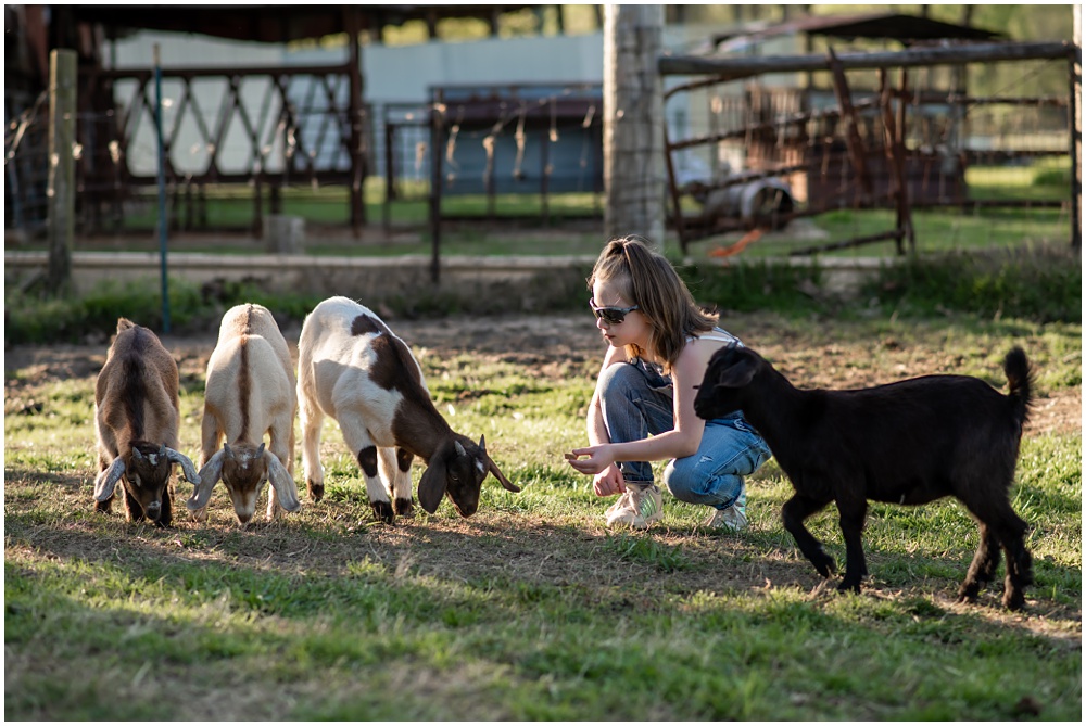 Flowery Branch photographer hosts mini session of little girl playing with baby goats. She's kneeling down feeding goats at Prospect Farms, Lawrenceville Ga