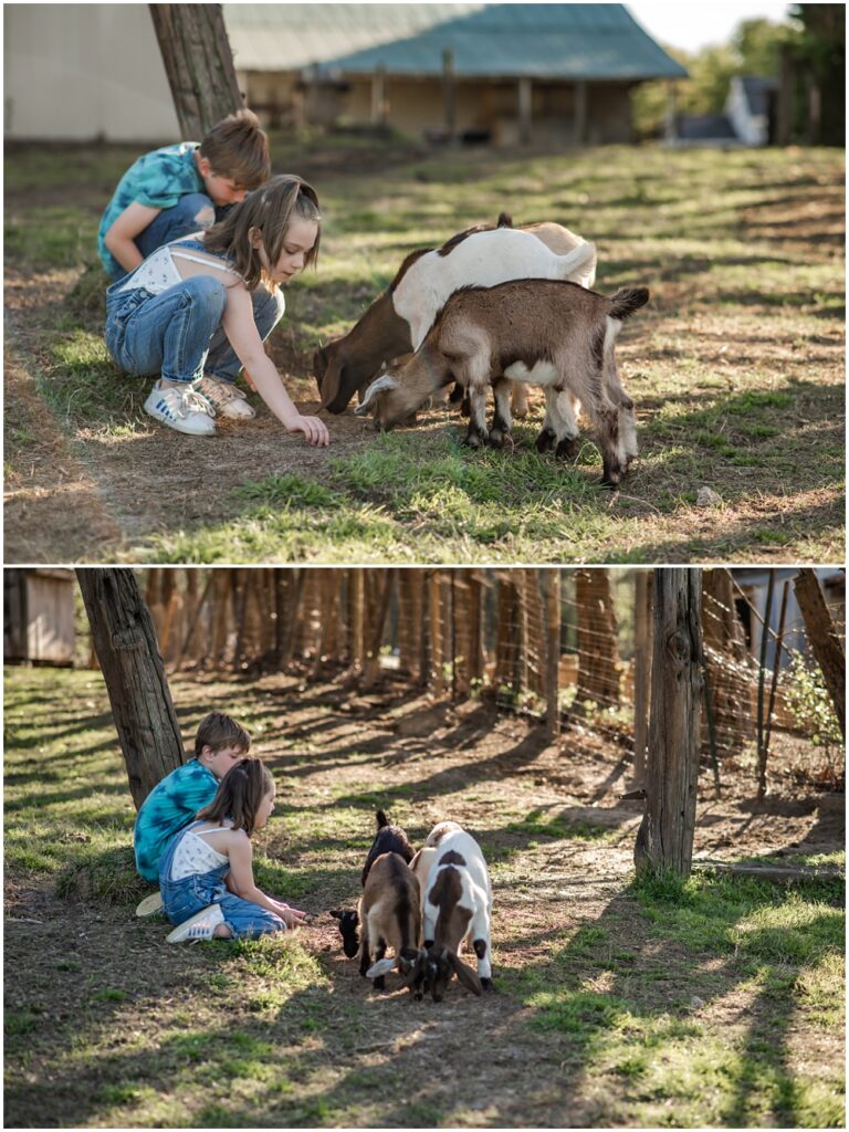 Flowery Branch photographer hosts mini session of kids playing with baby goats. They're sitting down feeding goats at Prospect Farms, Lawrenceville Ga